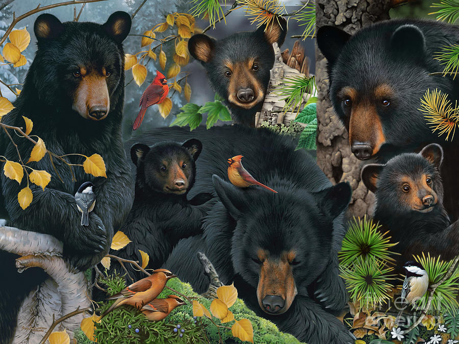 Black Bear Collage #1 Painting by Jerry Gadamus