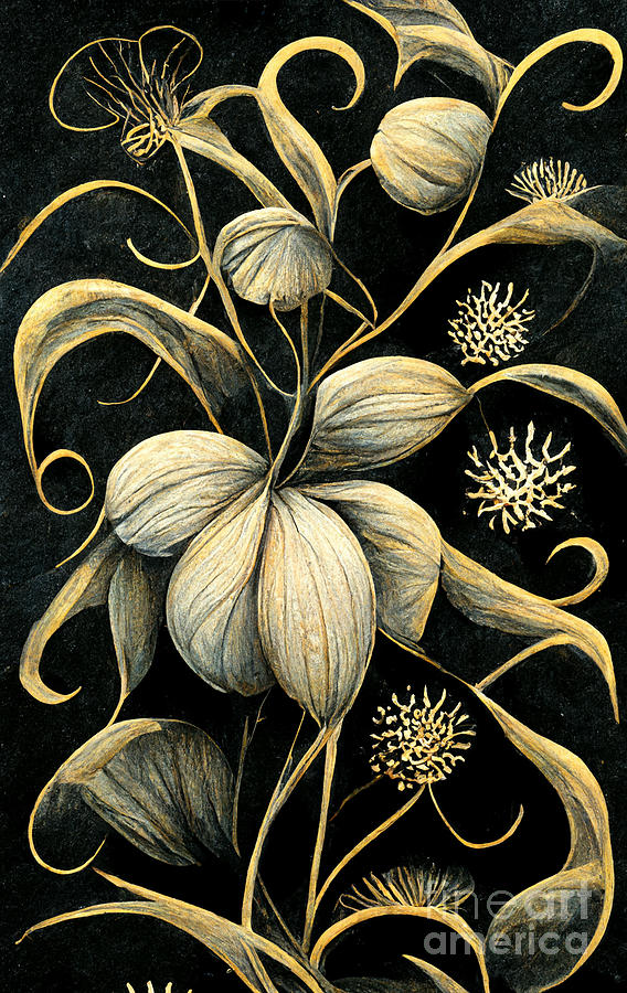 Black board zentangle Digital Art by Sabantha Fine Art America