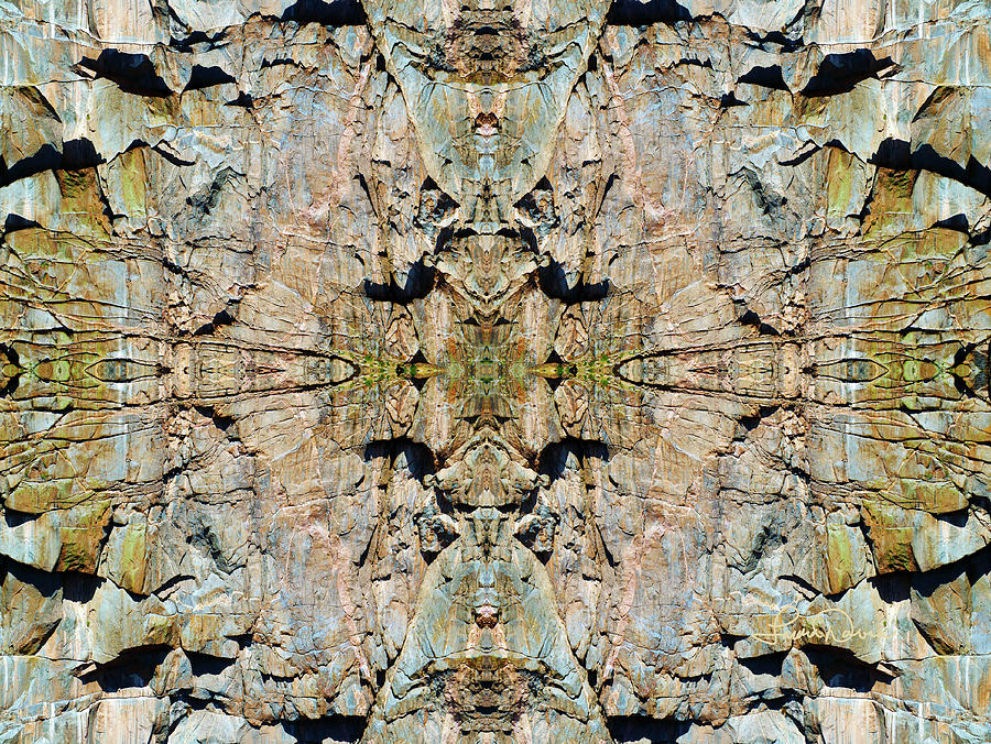 Black Canyon Mandala 8311 #1 Digital Art by Laura Davis