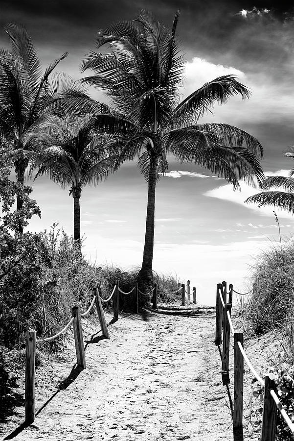 Black Florida Series - Boardwalk Beach #1 Photograph by Philippe HUGONNARD