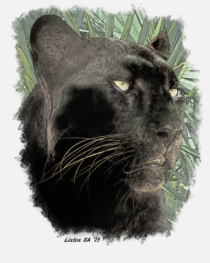 Black Panther #1 Digital Art by Larry Linton