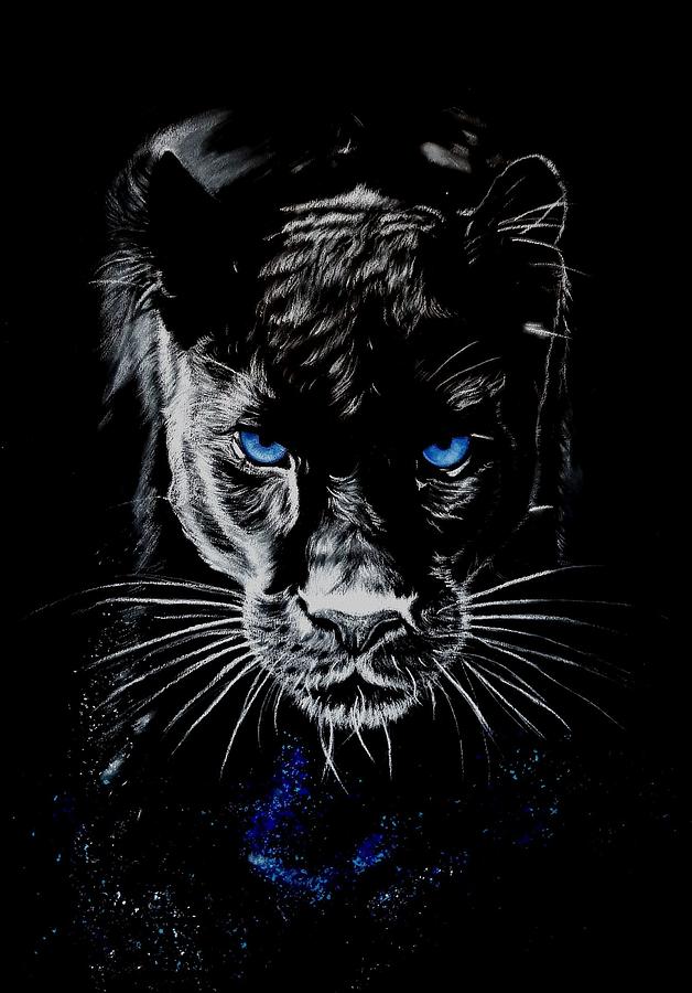 Stock Art Drawing of a Black Panther - inkart-saigonsouth.com.vn