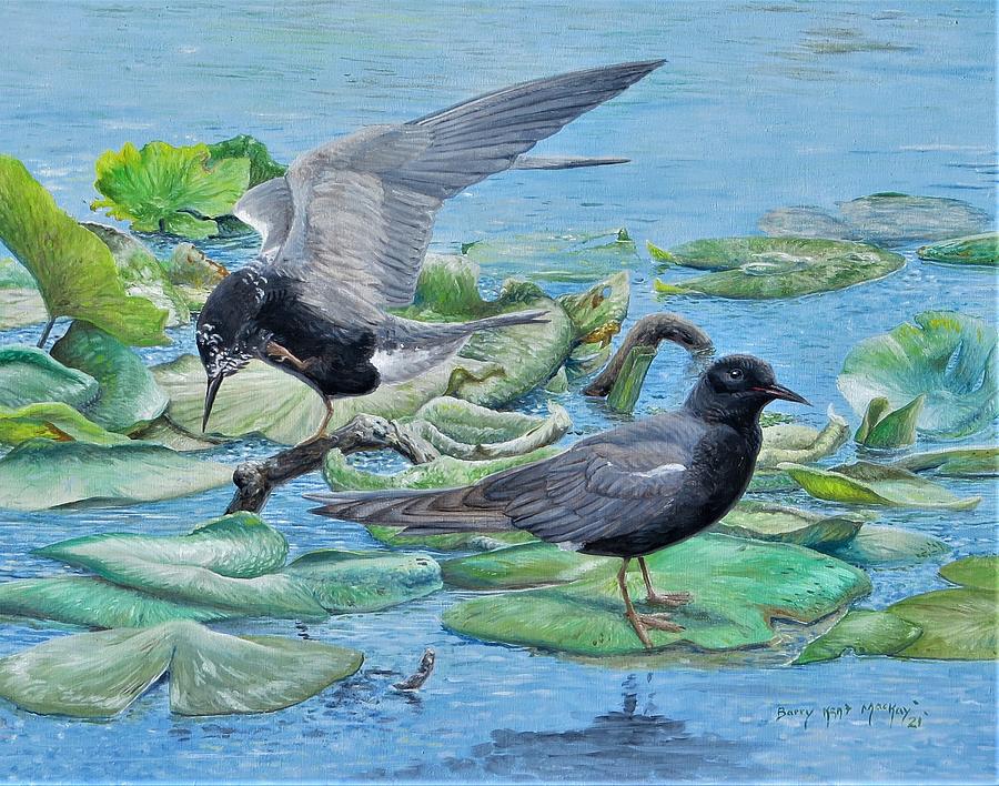 Black Terns #1 Painting by Barry Kent MacKay
