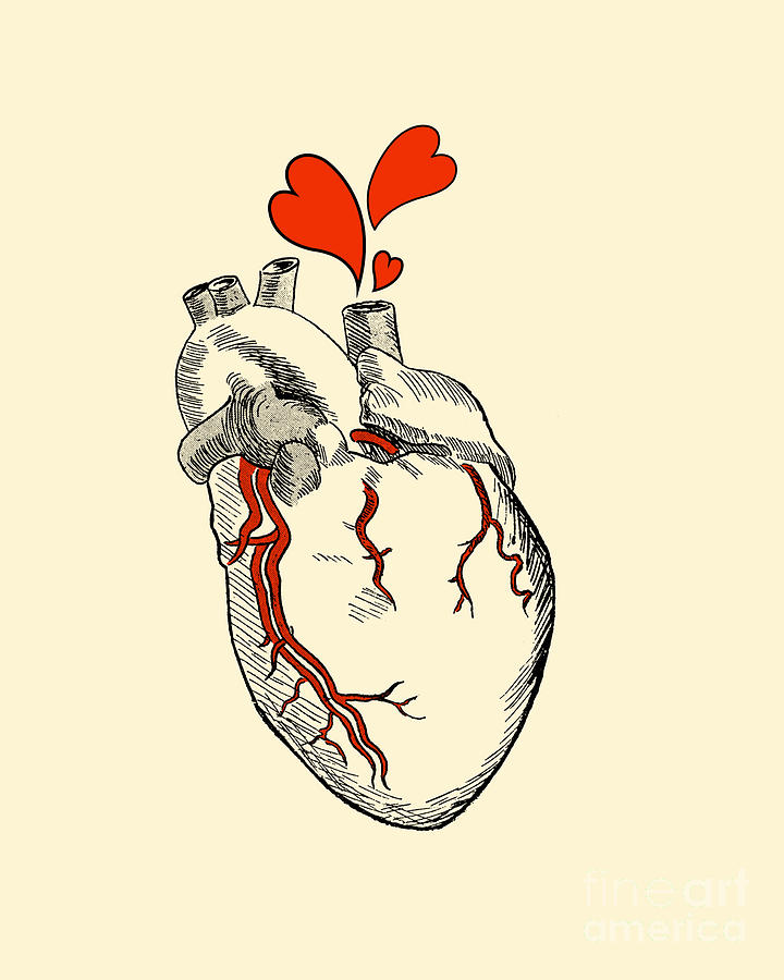Valentines Day Digital Art - Bleeding Heart #1 by Madame Memento