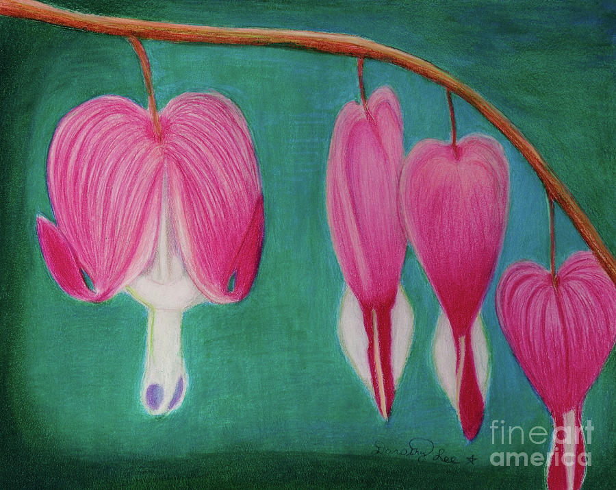 Bleeding Hearts #1 Painting by Dorothy Lee