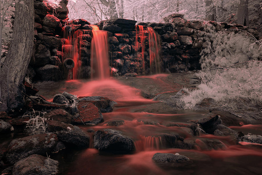 Blood Falls 2 #1 Photograph by Brian Hale