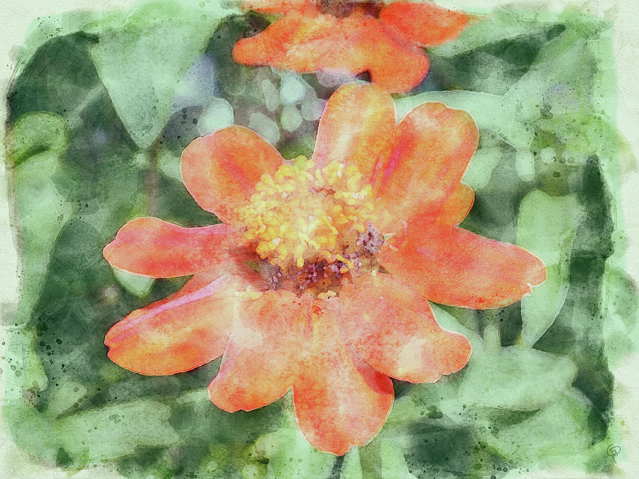 Bloom Digital Art by George Pennington
