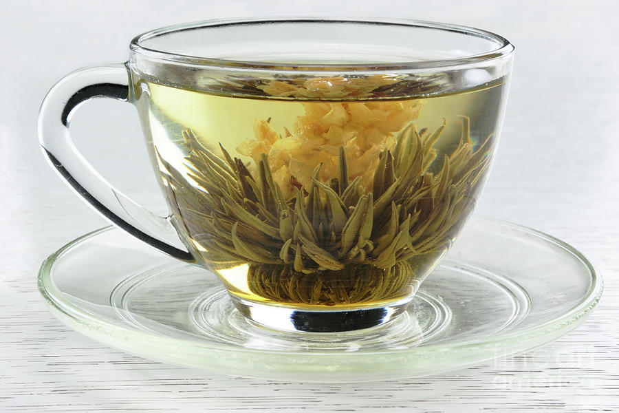Blooming Tea Photograph