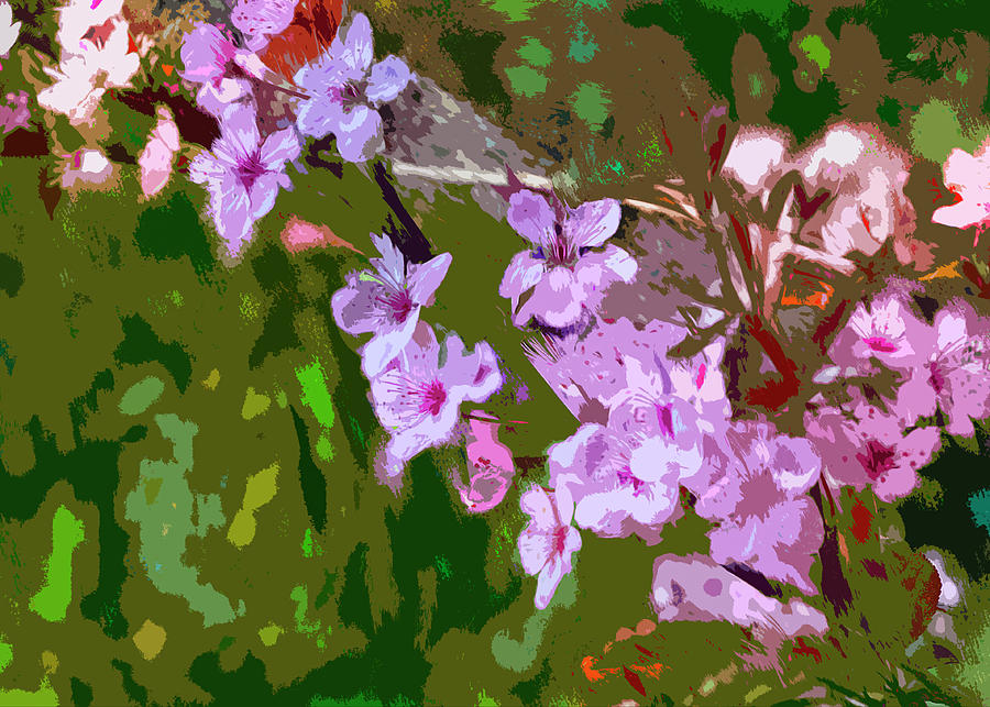 Blossoms at Bruce Park #1 Digital Art by Cordia Murphy