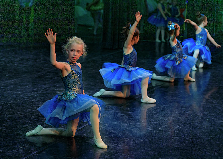 Blue Ballerinas #1 Photograph by Craig J Satterlee