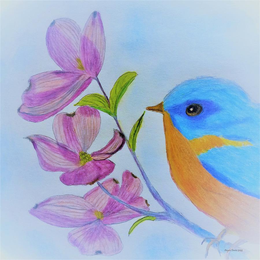 Blue Bird Spring #2 Drawing by Angela Davies