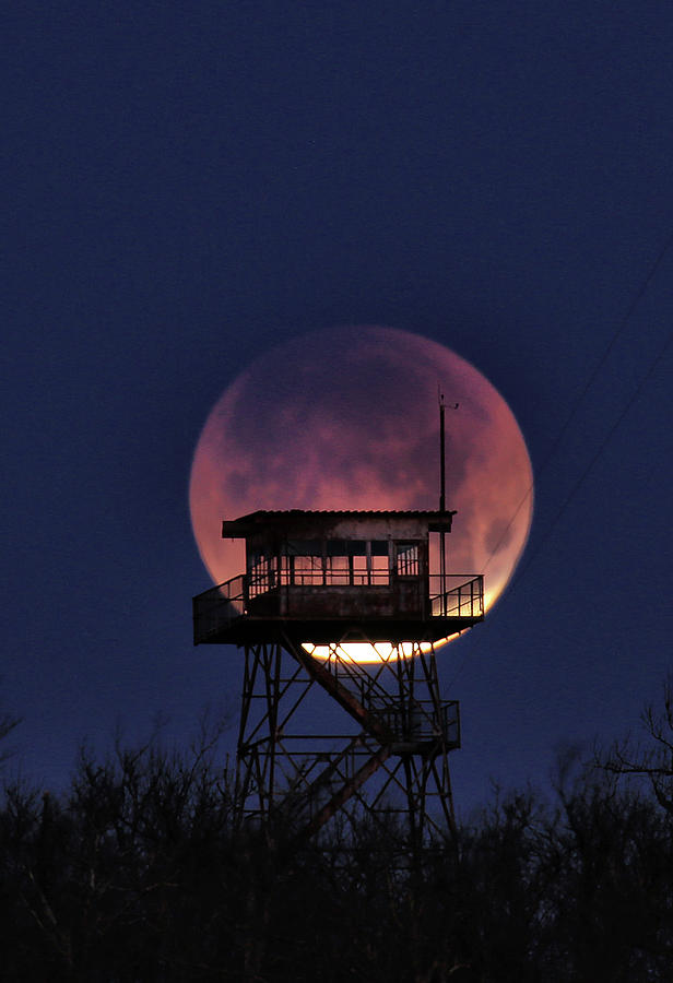 Blue Blood Super Eclipse Moon - Queen Wilhelmina State Park  #1 Photograph by William Rainey