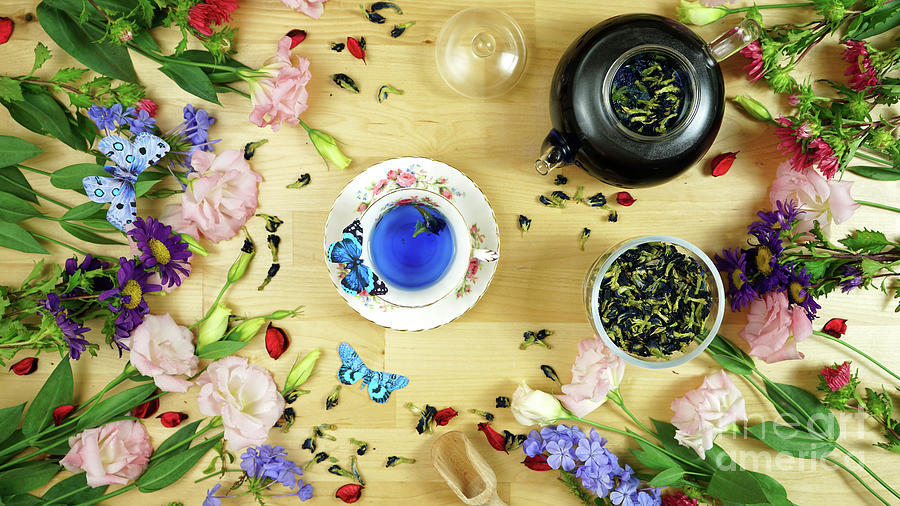 Blue Butterfly Pea Flower caffeine-free herbal tea creative concept layout. #1 Photograph by Milleflore Images