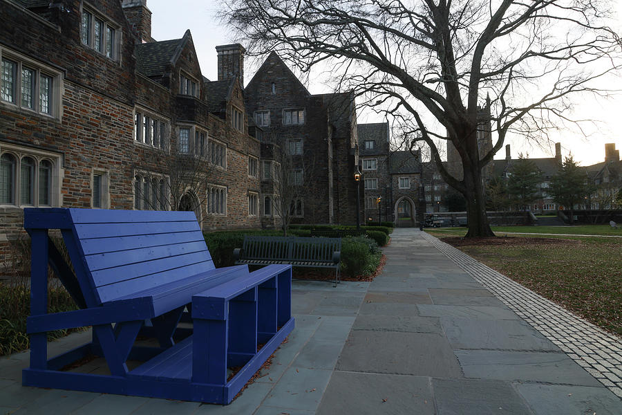 Blue chair at Duke University #1 Photograph by Eldon McGraw