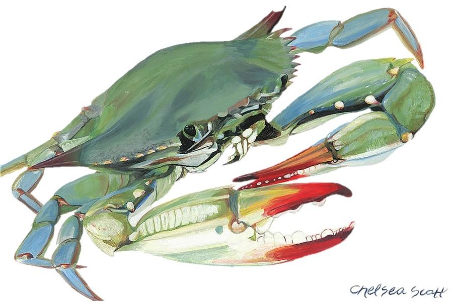 Nature Painting - Blue Crab by Chelsea Scott