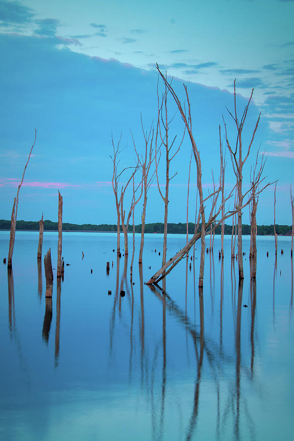 Blue Evening at Manasquan Reservoir #1 Photograph by Kristia Adams