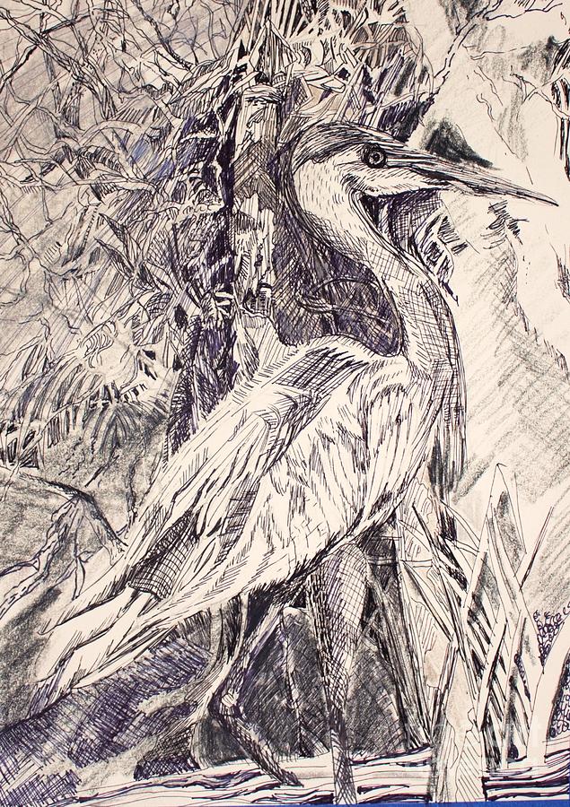 Blue Heron #1 Drawing by Mindy Newman