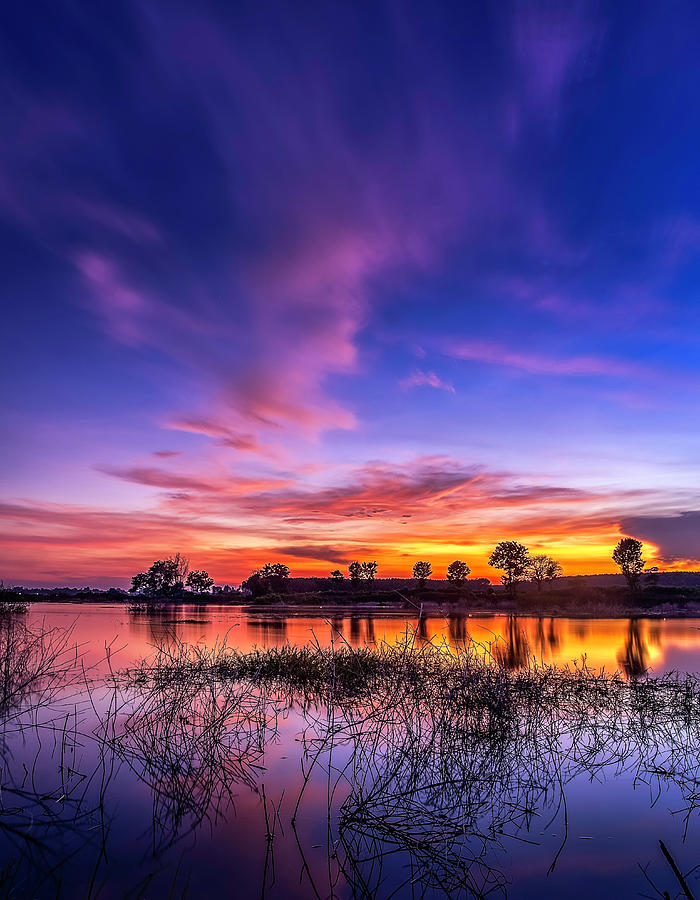 Blue hour Photograph by Richard Ten Brinke - Fine Art America