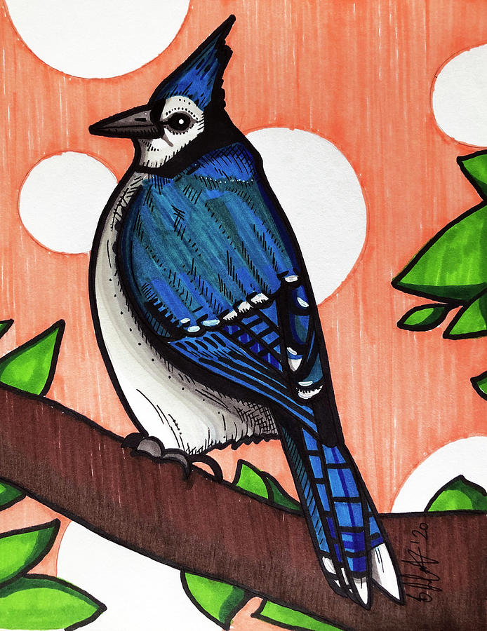 Blue Jay #1 Drawing by Creative Spirit