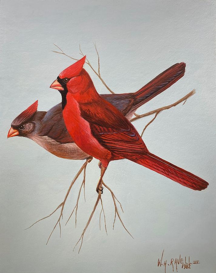 Bird Painting - Clem and Cora Cardinal by William Ravell