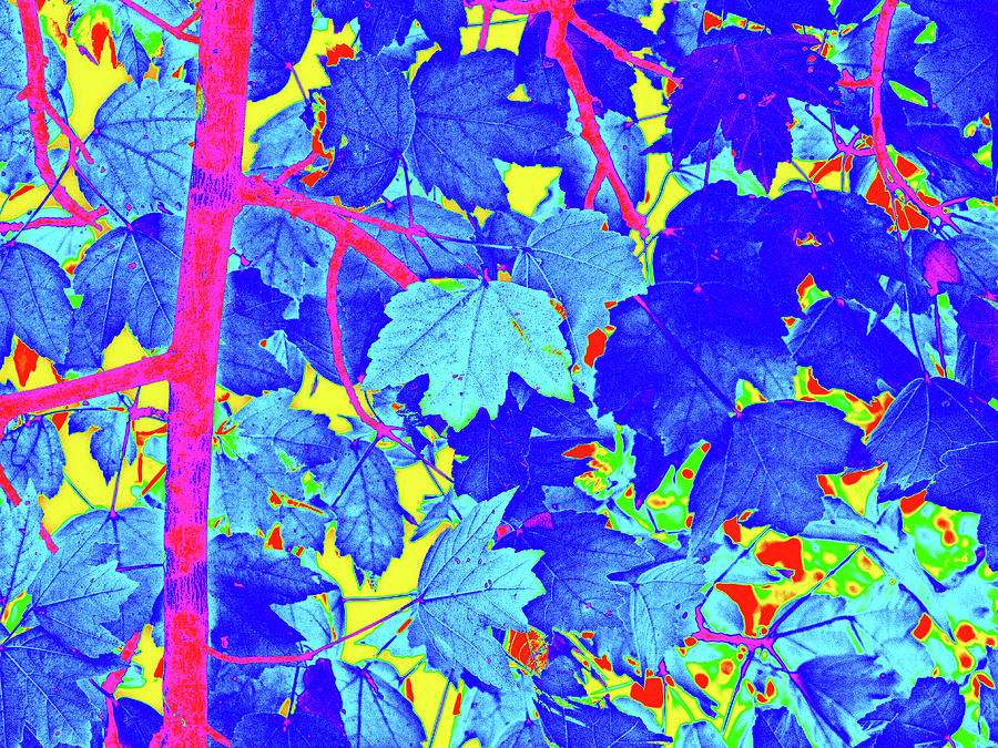 Blue Leaves On Yellow Digital Art by David Desautel