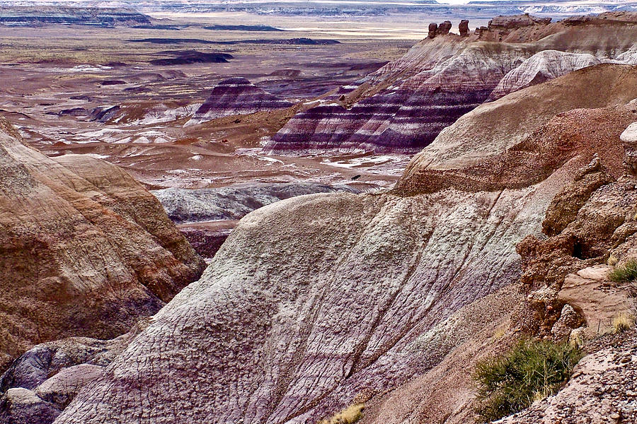 Petrified Forest National Park Photograph - Blue Mesa Trail, Petrified Forest National Park, Arizona  #2 by Ruth Hager