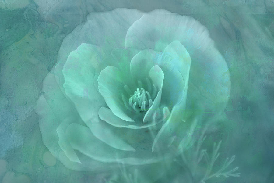 Blue Poppy Art Digital Art by Terry Davis