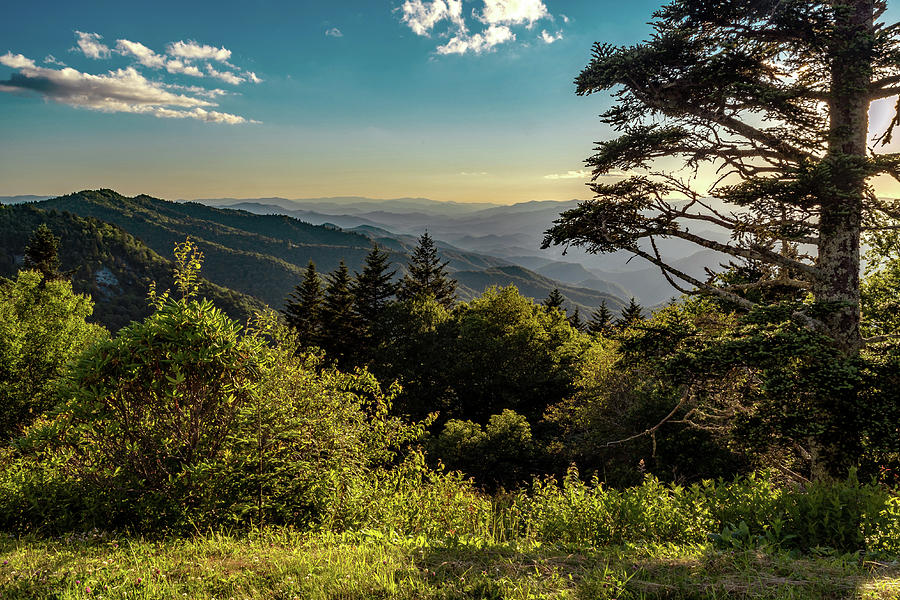 Landscape Photograph - Blue Ridge Afternoon #1 by Eric Albright
