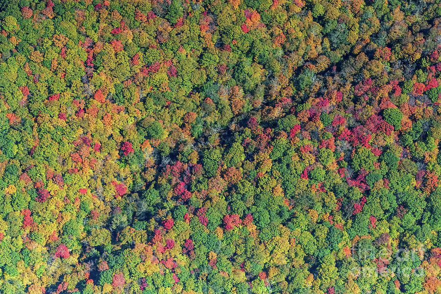 Blue Ridge Parkway Vertical Aerial View of Autumn Colors #1 Photograph by David Oppenheimer