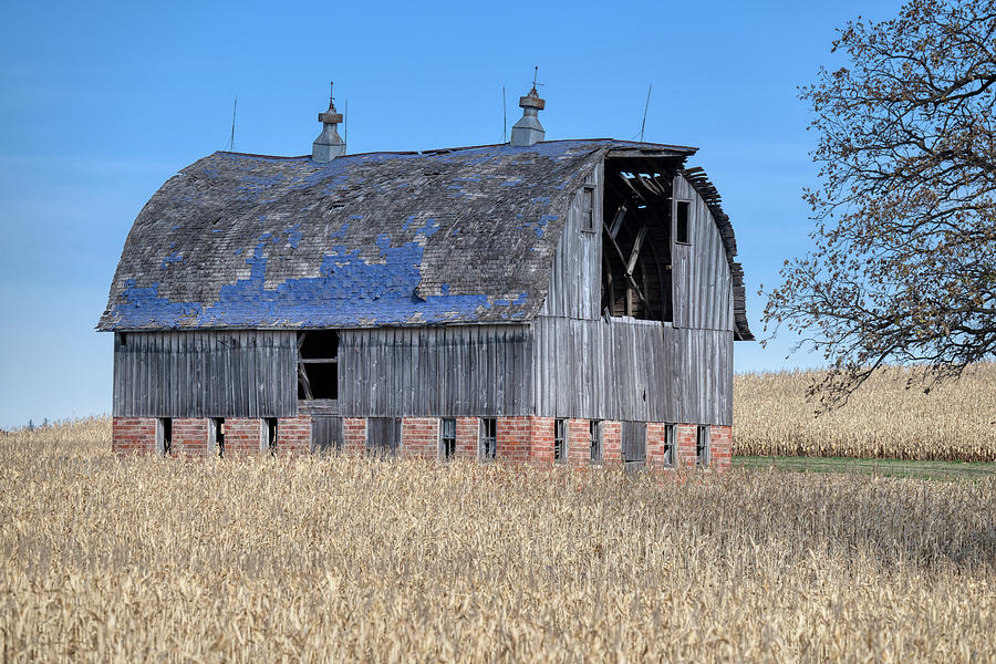 Blue roofed Barn #1 Photograph by Paul Freidlund