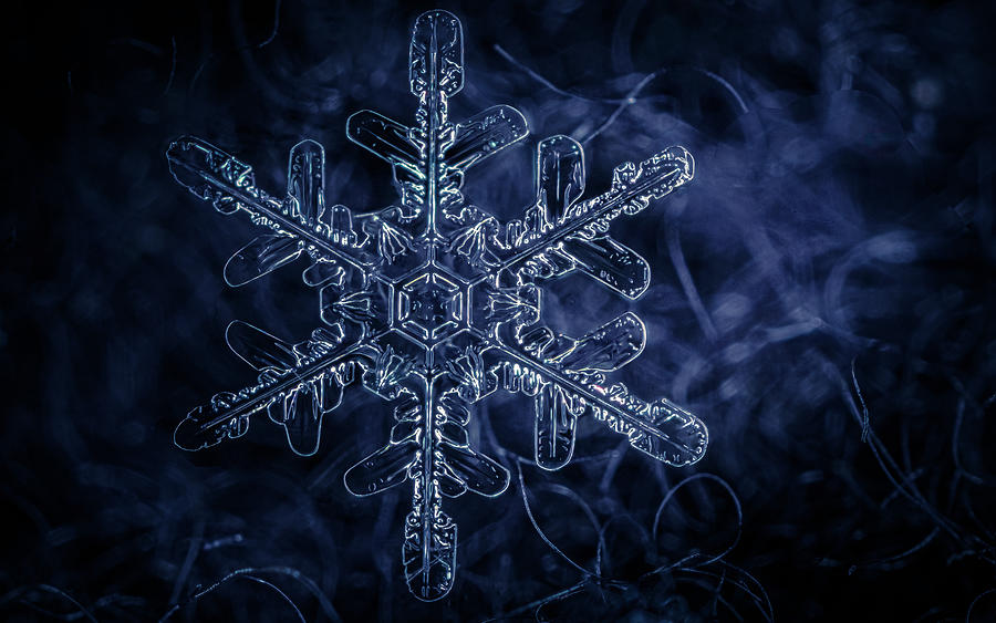 Blue Snowflake #2 Photograph by Brian Caldwell