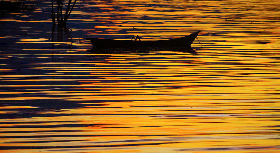 Boat on Lake Chapala #1 Photograph by Tommy Farnsworth