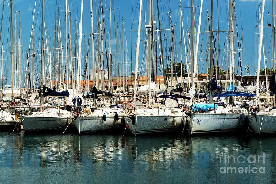 palermo marina yachting orari