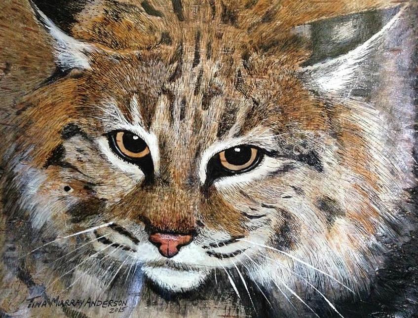 Bobcat Painting By Tina Murray Anderson Fine Art America