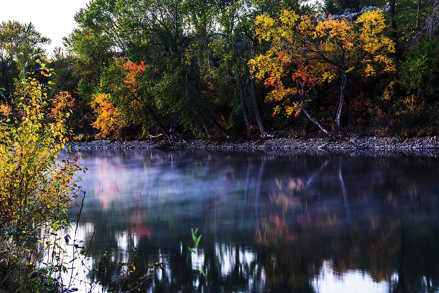 Boise River Autumn In Boise Idaho Photograph By Vishwanath Bhat Fine