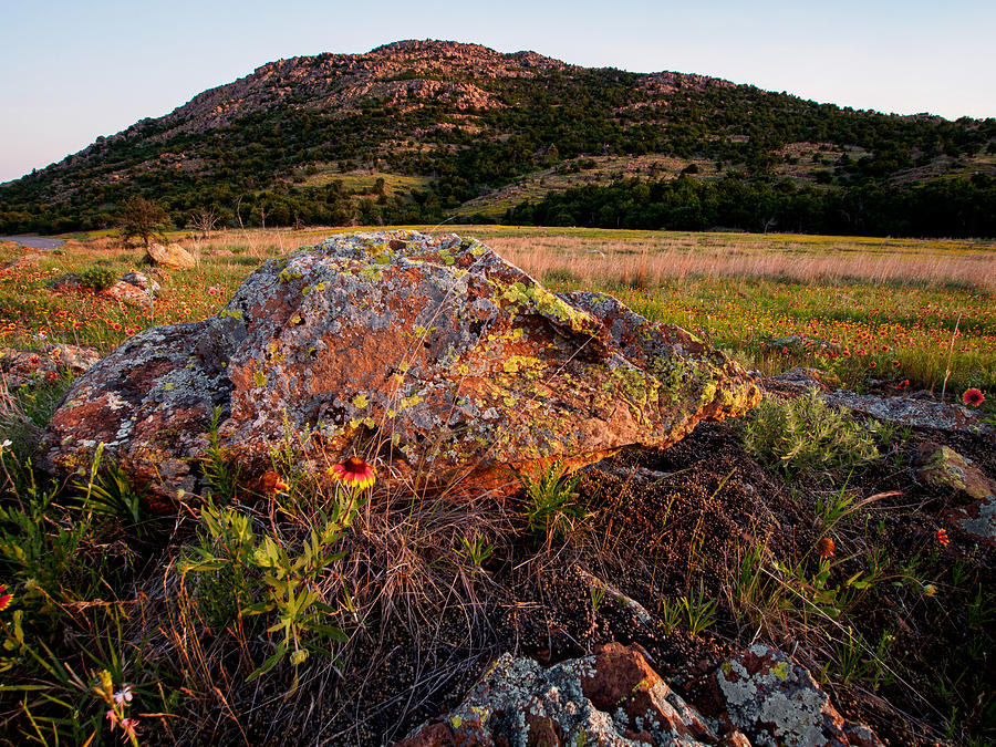 Boulder Color Photograph by Buck Buchanan - Pixels