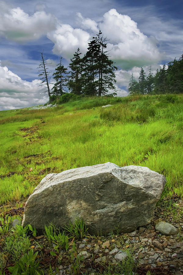 Boulder On The Shore At The Mount Desert Narrows In Maine Photograph