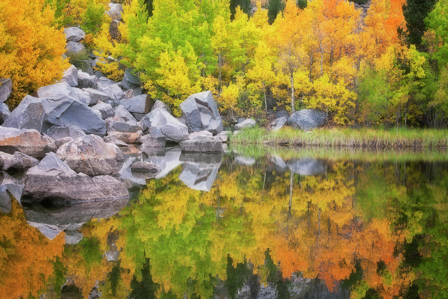 Tree Photograph - Boulders and autumn changing aspen reflect into Cardinal Pond. #2 by Larry Geddis