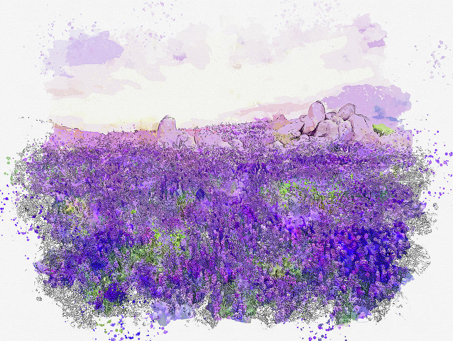 Flower Painting -  Boulders, Folsom Lake #1 by Celestial Images