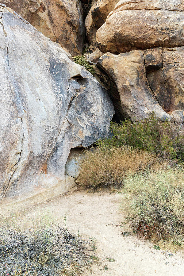 Boulders in Joshua Tree National Park #1 Photograph by Amelia Pearn