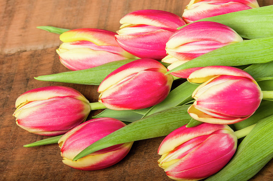 Bouquet of fresh pink and yellow tulips  #1 Photograph by John Trax