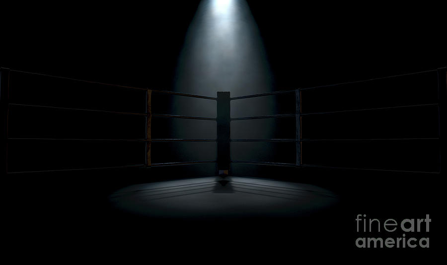PROLAST Boxing Set of 4 Blank Corner Cushions Set of 4 - PRO FIGHT SHOP