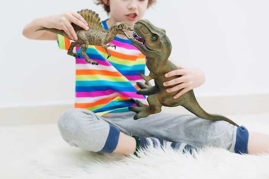 Boy Playing Dinosaur Toys #1 Photograph by Carol Yepes