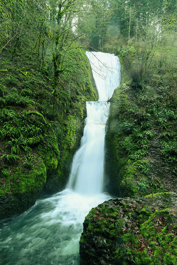 Bridal Veil Falls, Oregon #1 Photograph by Aashish Vaidya