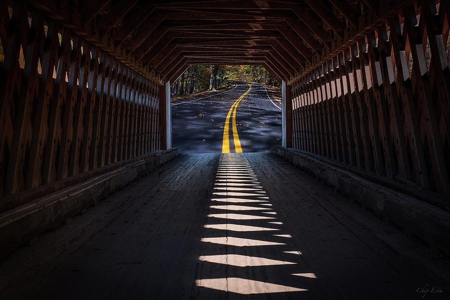 Bridge To Fall Photograph by Chip Evra