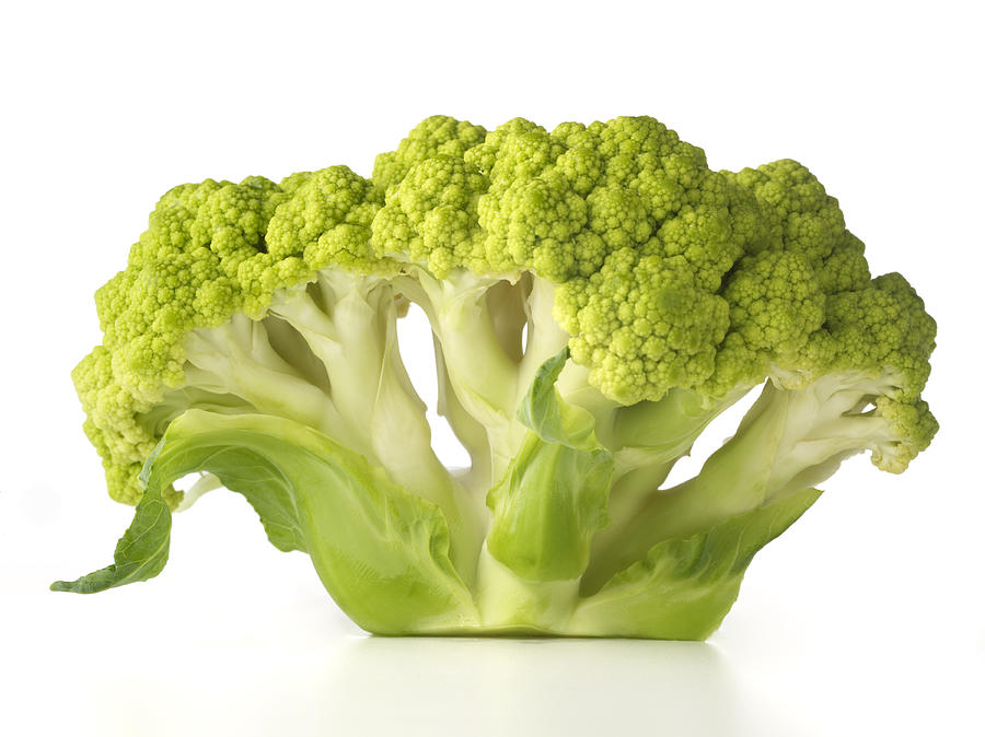 Broccoli #1 Photograph by Jonathan Kantor