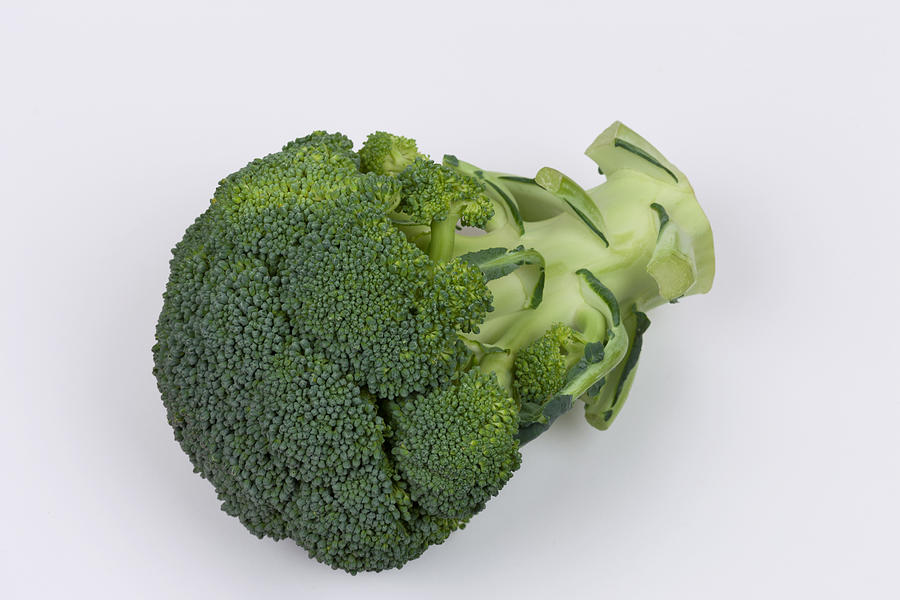 Broccoli #1 Photograph by Y-studio