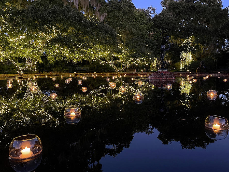 Brookgreen Gardens Festival of a Thousand Candles #2 Photograph by Dawna Moore Photography