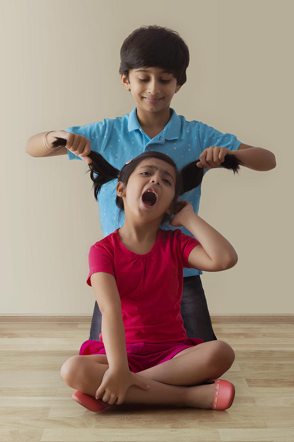 Brother Teasing His Sister By Pulling Her Hair #1 Photograph by IndiaPix/IndiaPicture