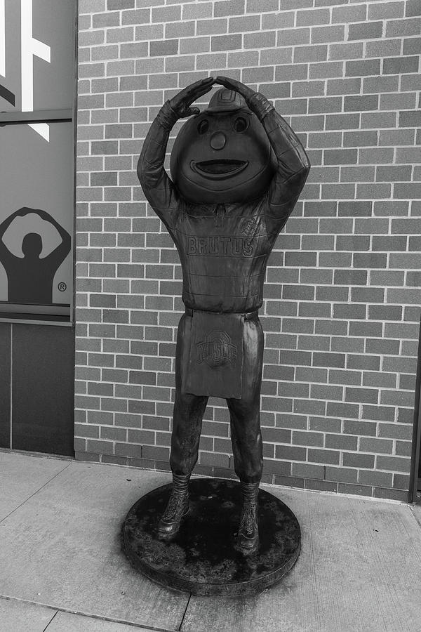 Brutus Buckeye Statue In Black And White Photograph By Eldon McGraw ...